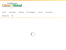 Tablet Screenshot of cacitrusmutual.com